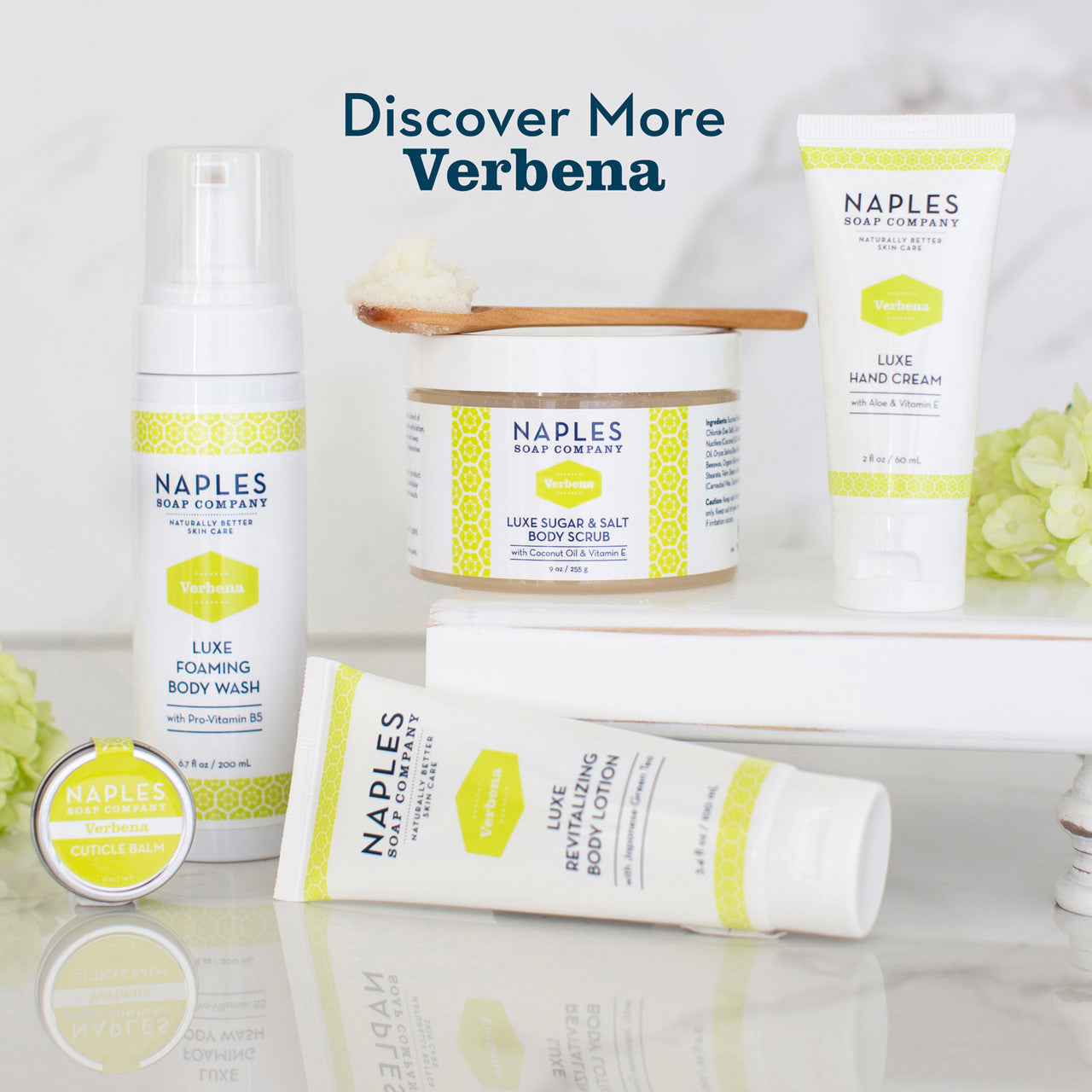 Discover More Verbena