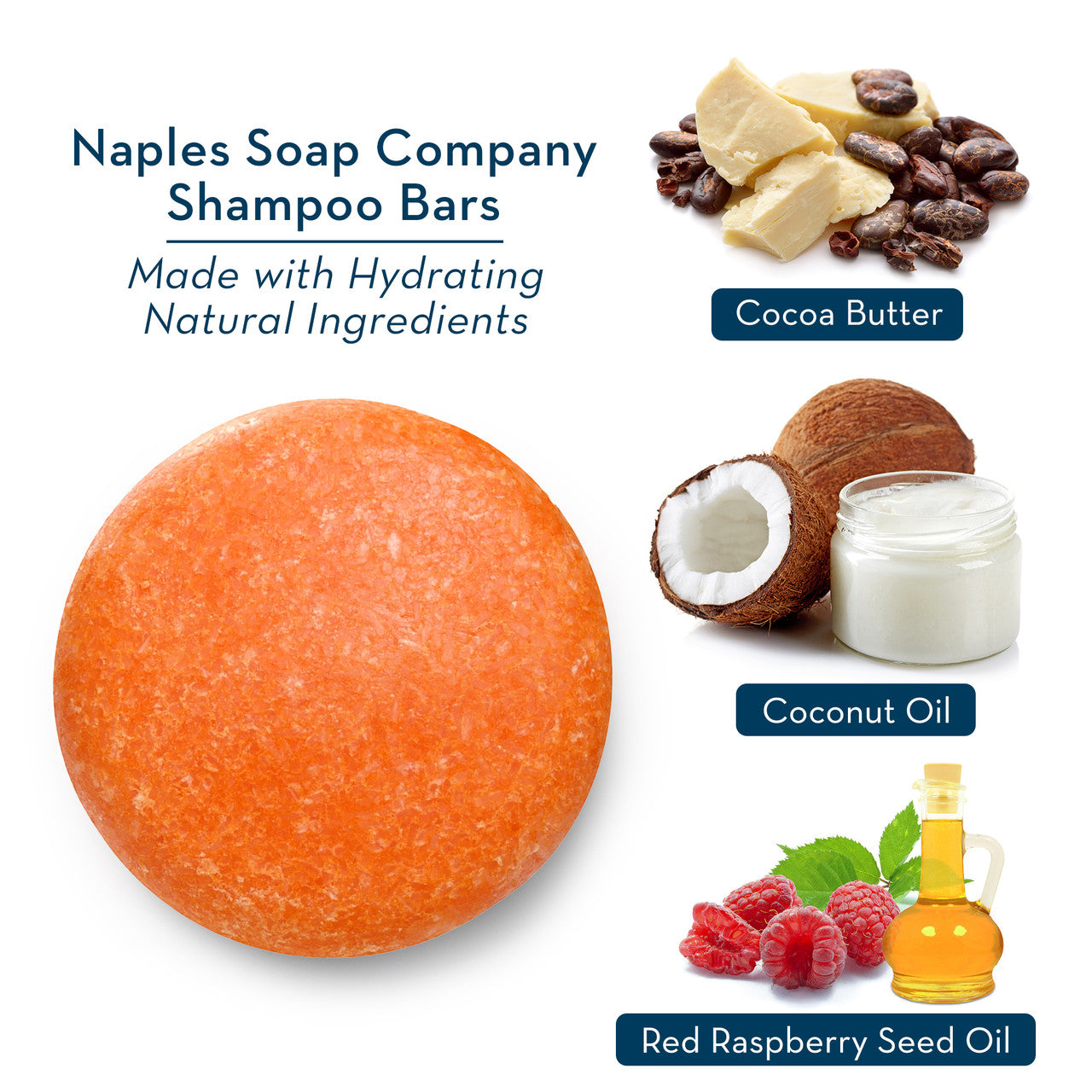 Boyfriend Shampoo Bar Ingredients