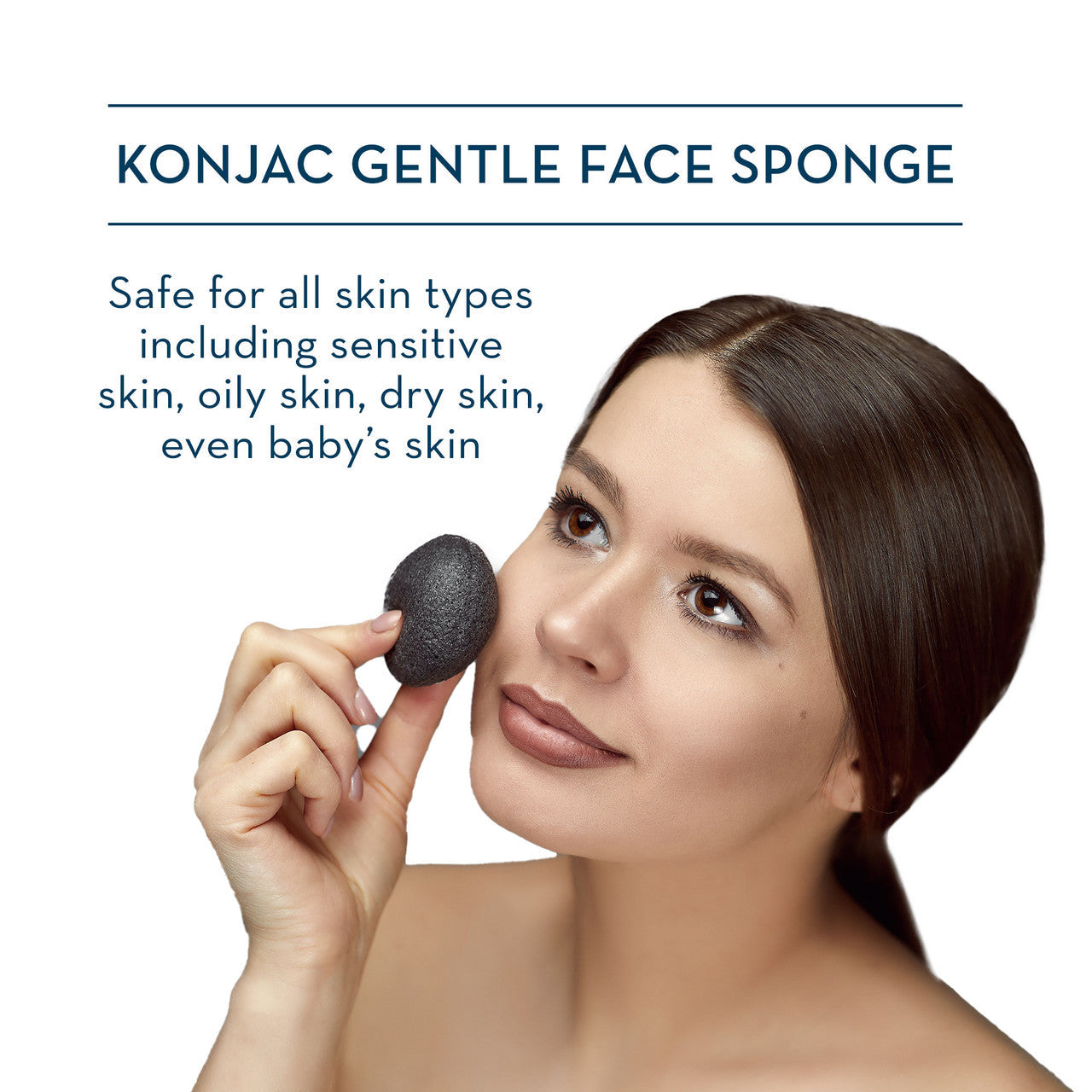 Konjac Sponge Model