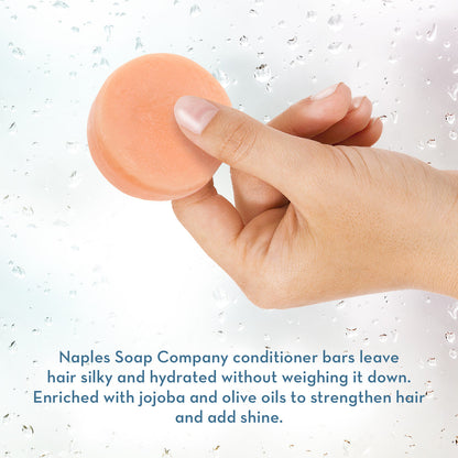 Florida Fresh Conditioner Bar Hand Info
