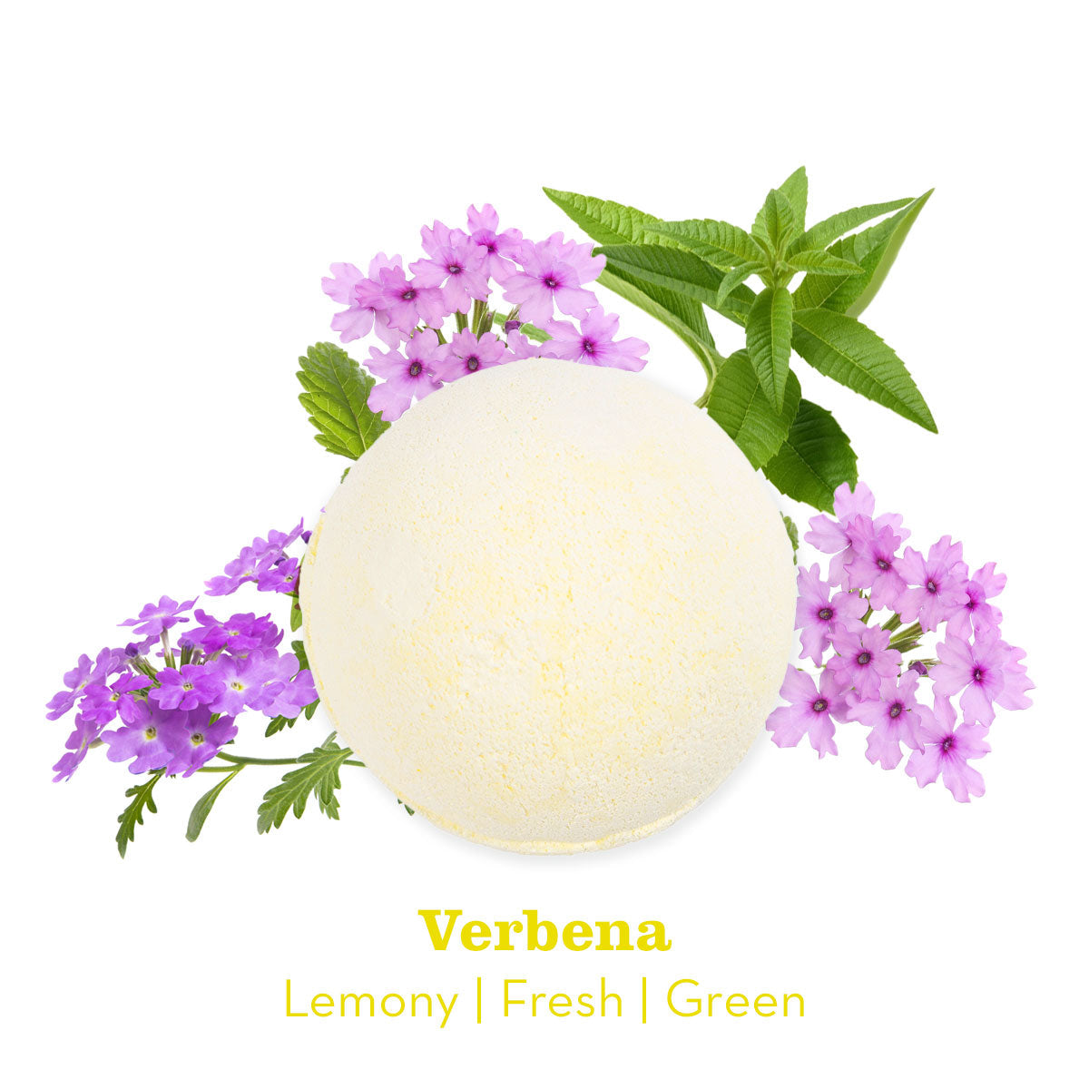 Verbena Bath Bomb with Scent Notes