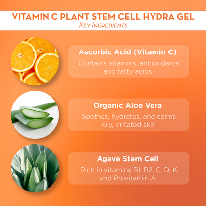 Vitamin C Hydra Gel Ingredients