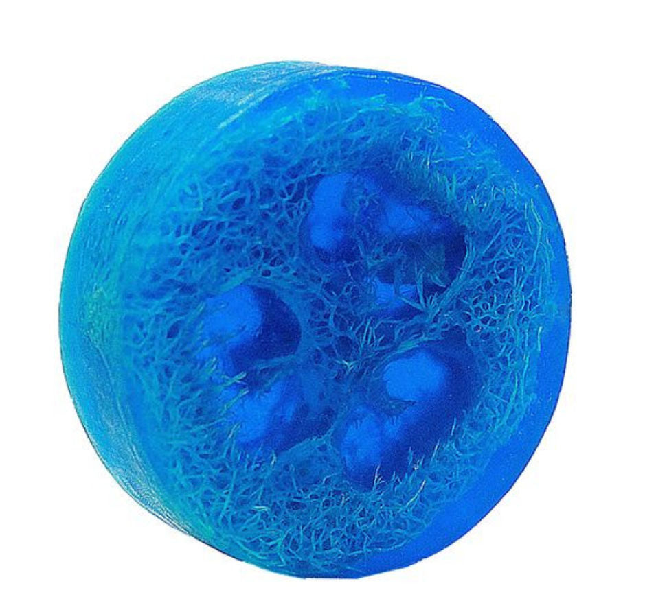 Ocean Breeze Loofah Soap